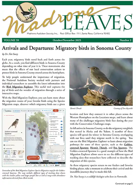 Newsletter