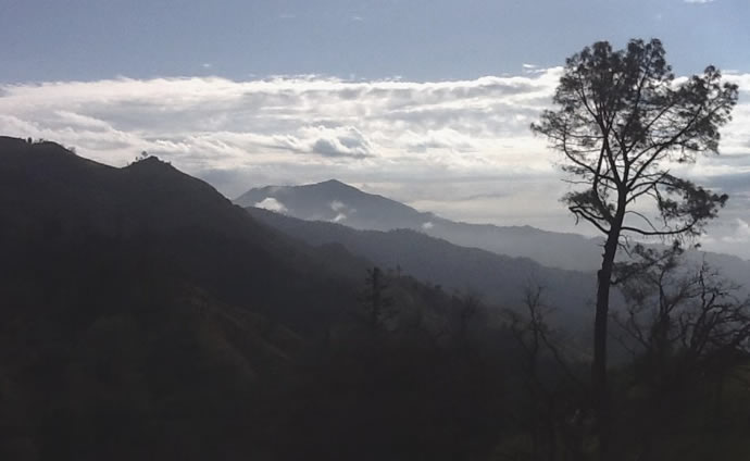 Mayacamas Mountain Sanctuary