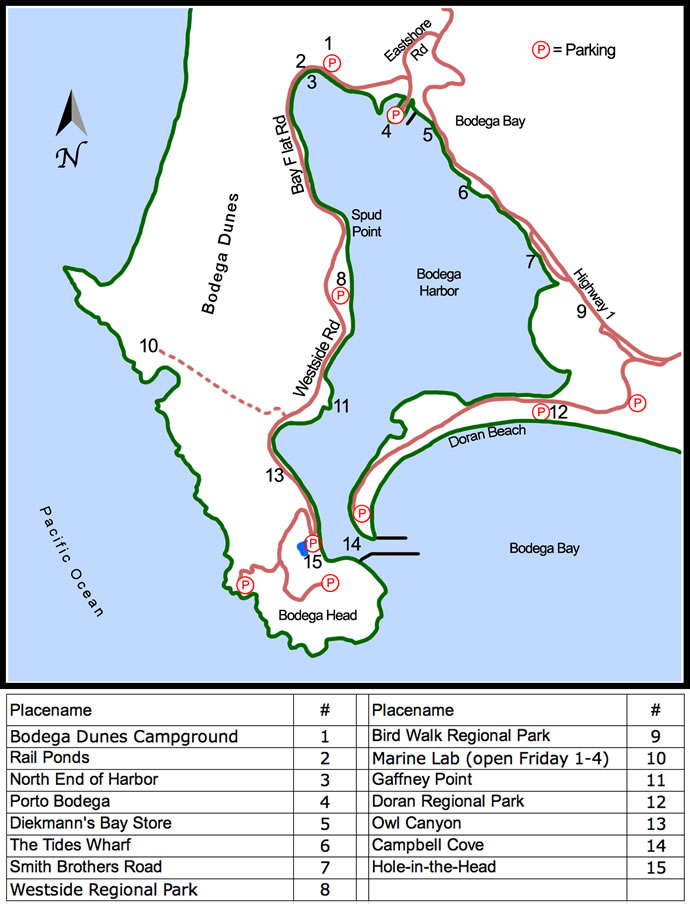Bodega Bay