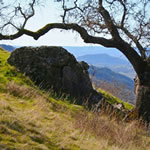 Mayacamas Sanctuary