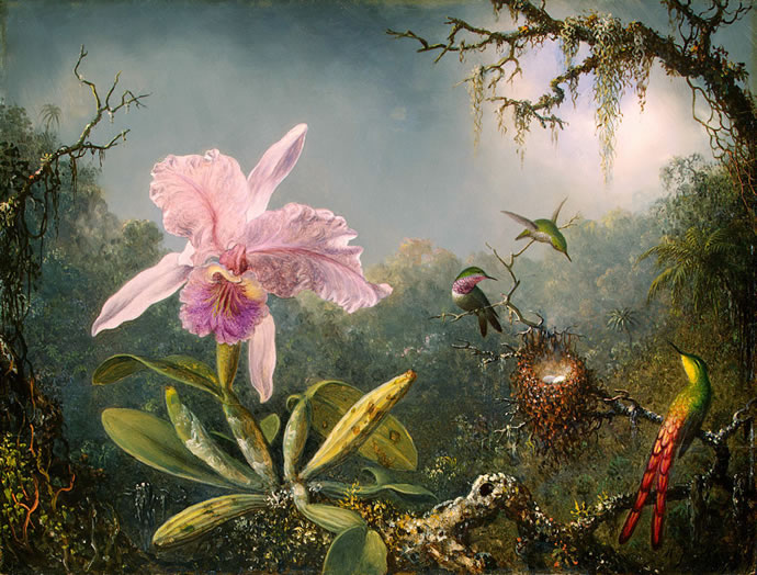Orchid and Hummingbirds, by Martin Johnson Heade (1819 - 1904)
