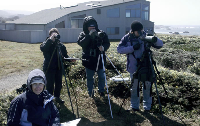 Christmas Bird Count, Sea Ranch, CA , Abalone Bay, Vacation Rental