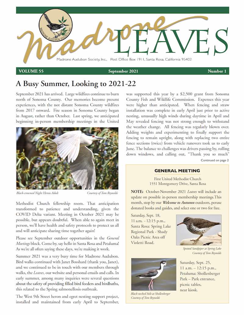 Madrone Leaves Newsletter